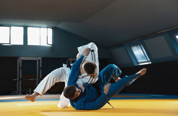 jiu jitsu coaching training paris