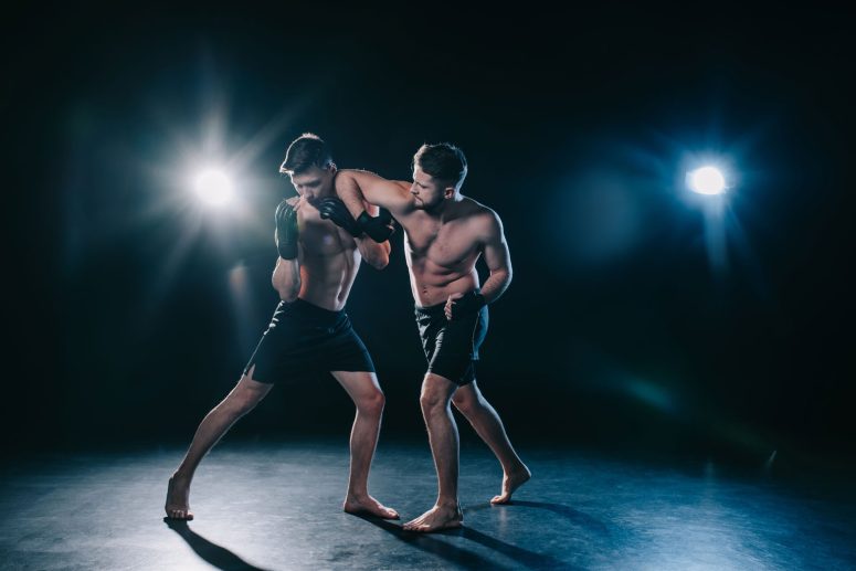 what are the 5 basic principles of grappling for MMA